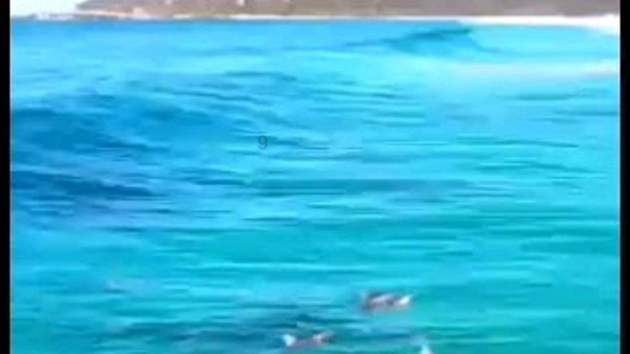 地狱边境