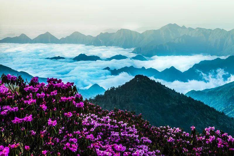 降温+降雨，冷空气排队上线！